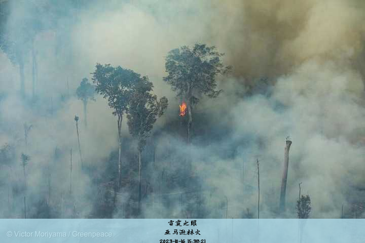 亚马逊林火