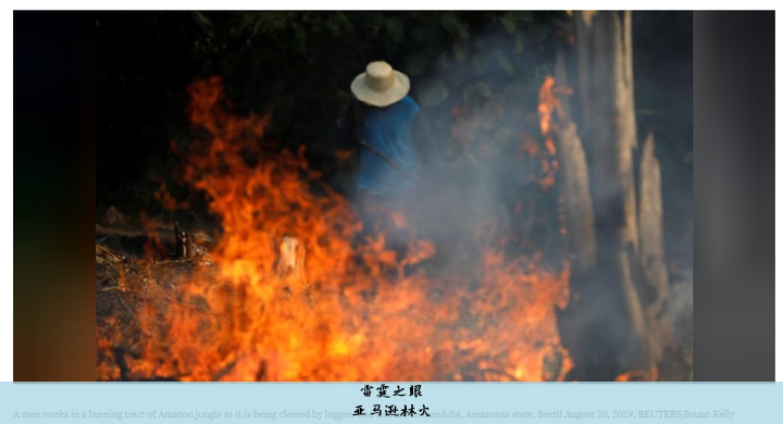 亚马逊林火
