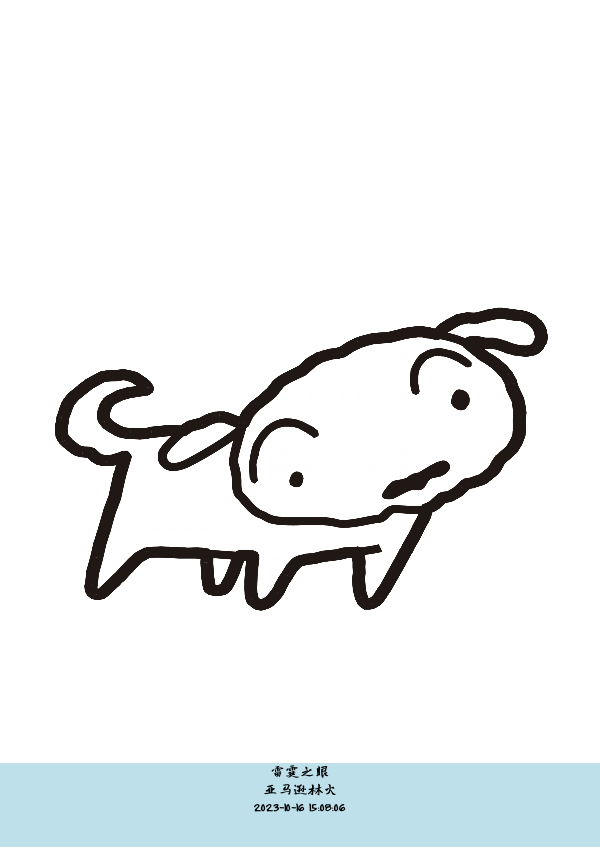亚马逊林火