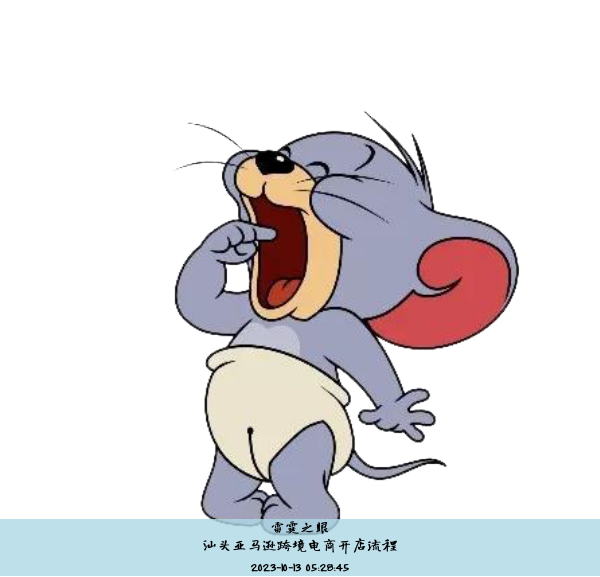 汕头亚马逊跨境电商开店流程, 汕头市跨境电商发展建议