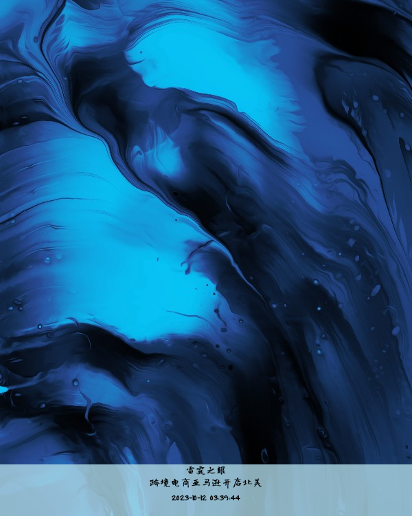 跨境电商亚马逊开店北美