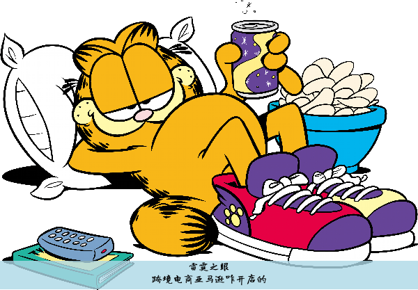 跨境电商亚马逊咋开店的