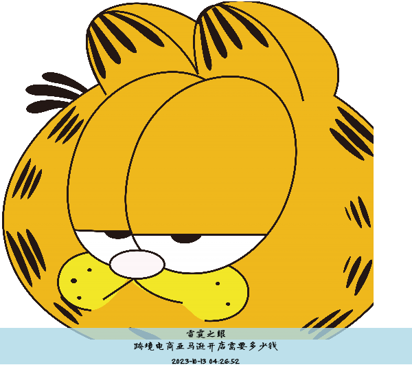 跨境电商亚马逊开店需要多少钱