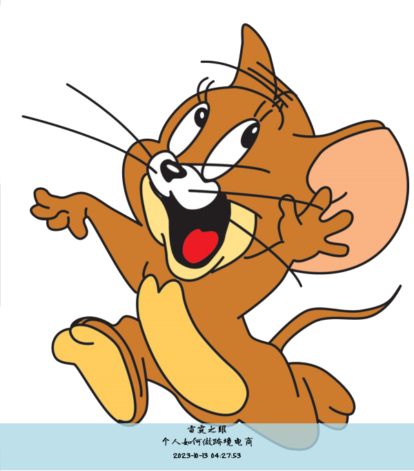 个人如何做跨境电商