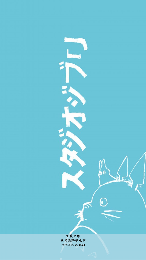 亚马逊跨境电商