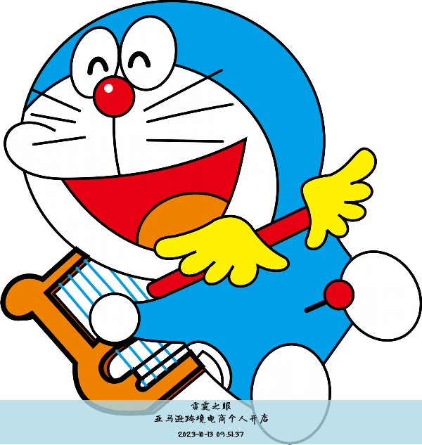 亚马逊跨境电商个人开店