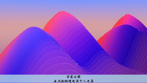 亚马逊跨境电商个人开店