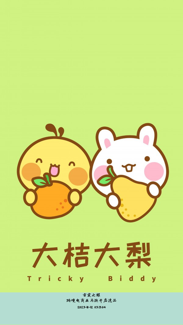 跨境电商亚马逊开店选品