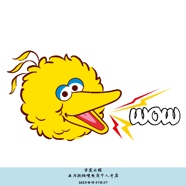 亚马逊跨境电商个人开店