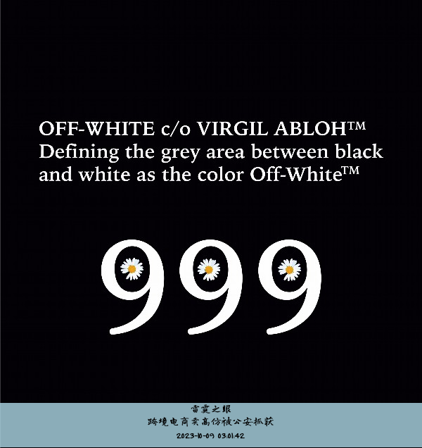 跨境电商卖高仿被公安抓获