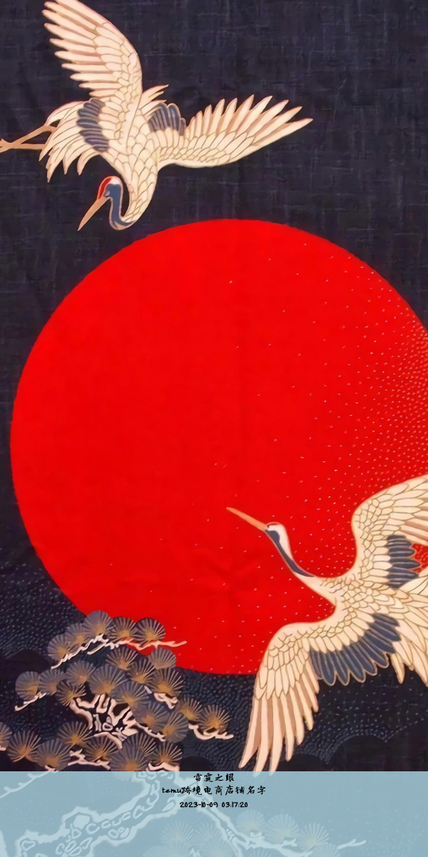 temu跨境电商店铺名字