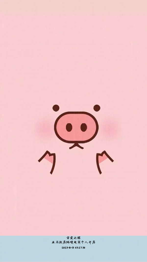 亚马逊店跨境电商个人开店