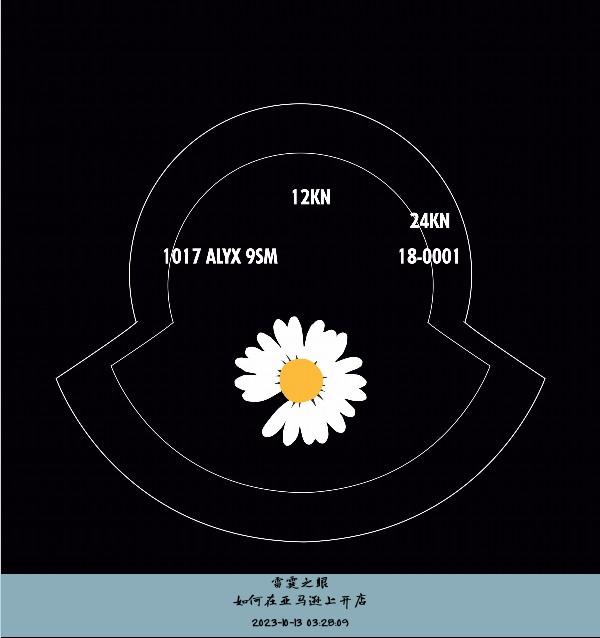 如何在亚马逊上开店