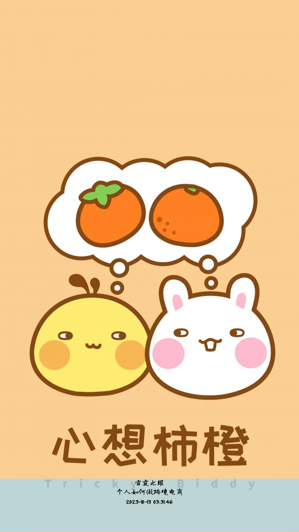 个人如何做跨境电商