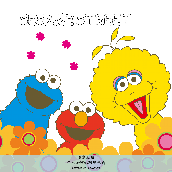 个人如何做跨境电商