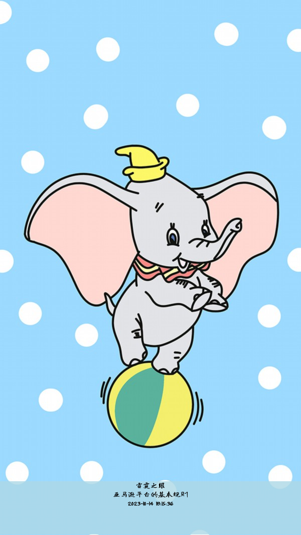 亚马逊平台的基本规则