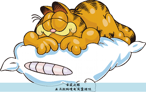 亚马逊跨境电商靠谱吗