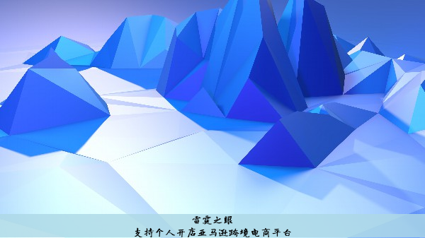 支持个人开店亚马逊跨境电商平台