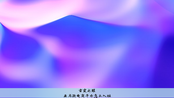 亚马逊电商平台怎么入驻