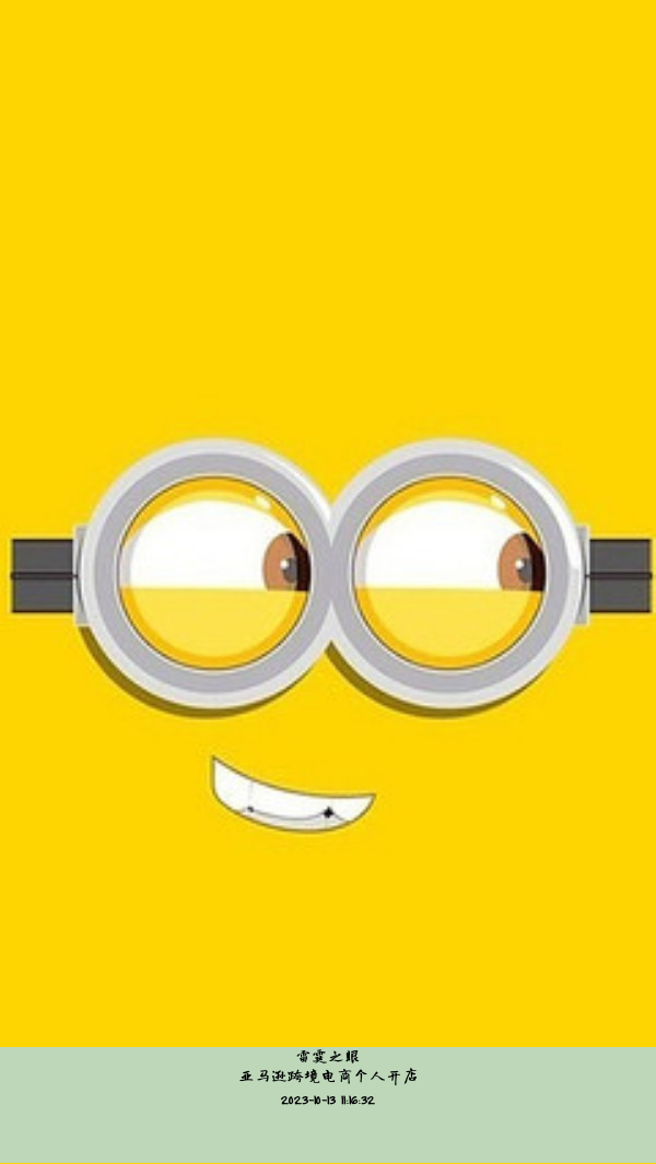 亚马逊跨境电商个人开店