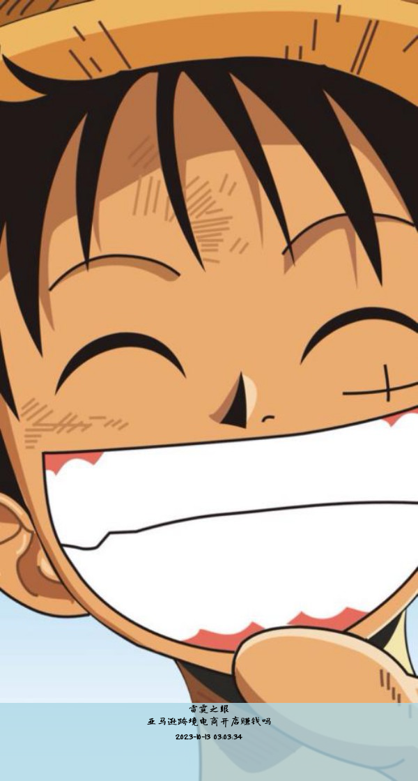 亚马逊跨境电商开店赚钱吗