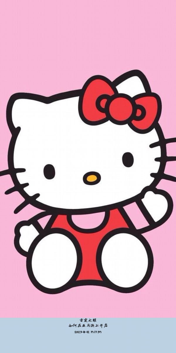 如何在亚马逊上开店