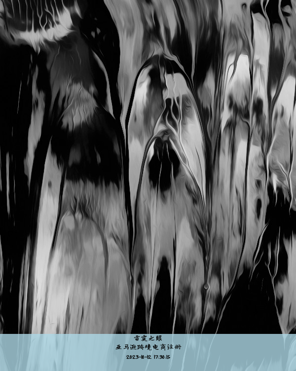 亚马逊跨境电商注册