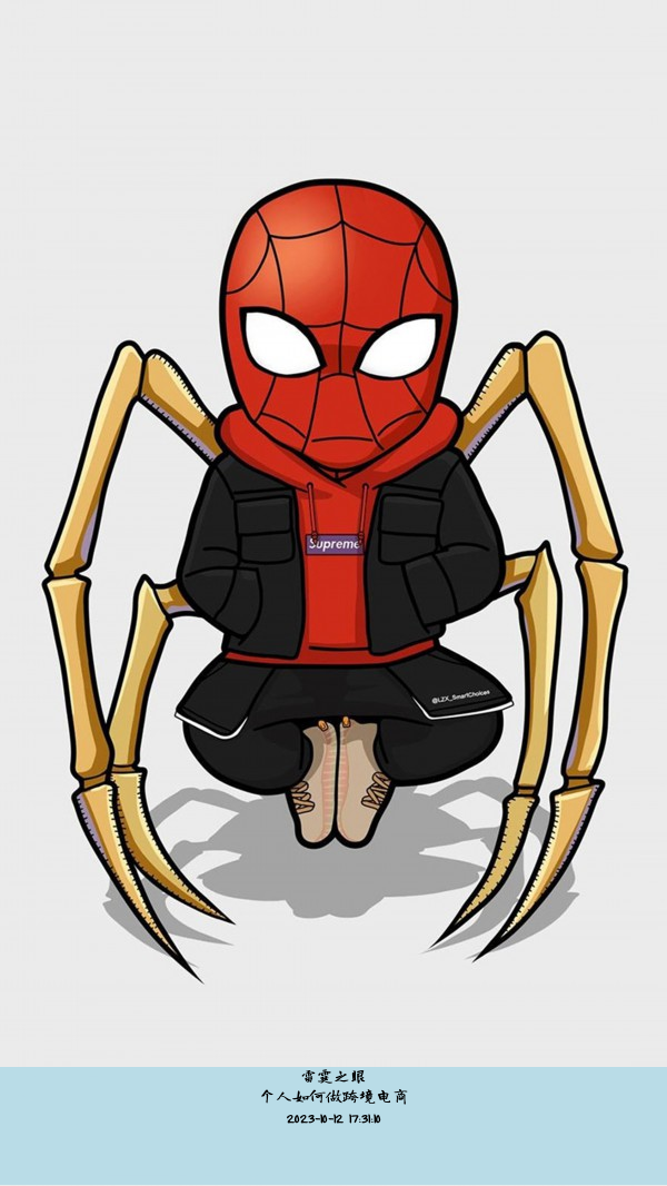 个人如何做跨境电商