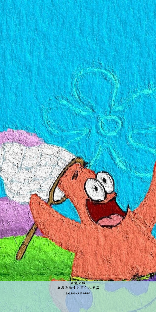 亚马逊跨境电商个人开店