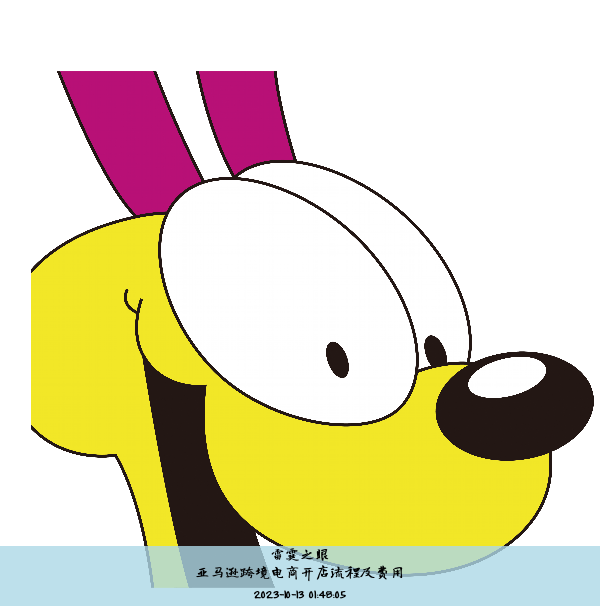 亚马逊跨境电商开店流程及费用