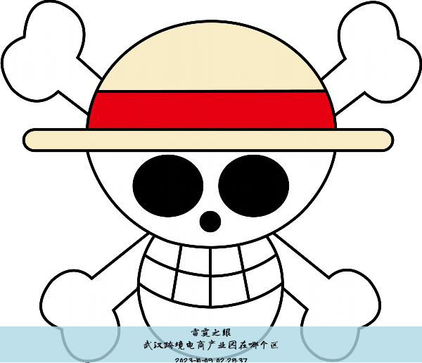 武汉跨境电商产业园在哪个区