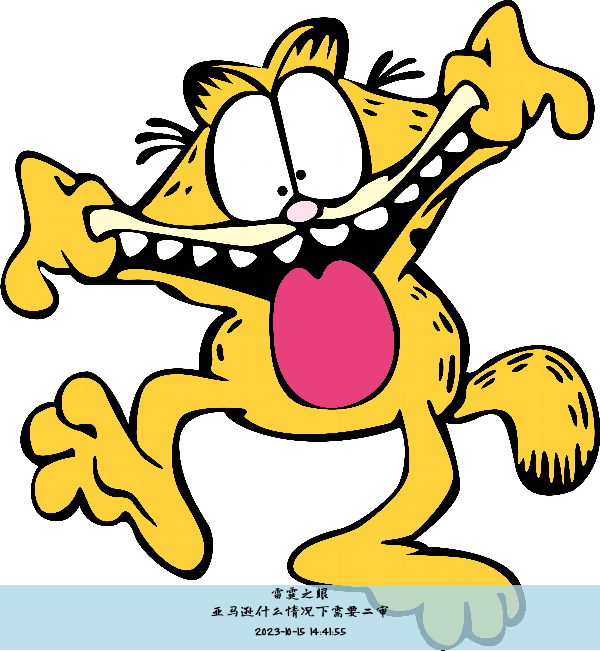 亚马逊什么情况下需要二审