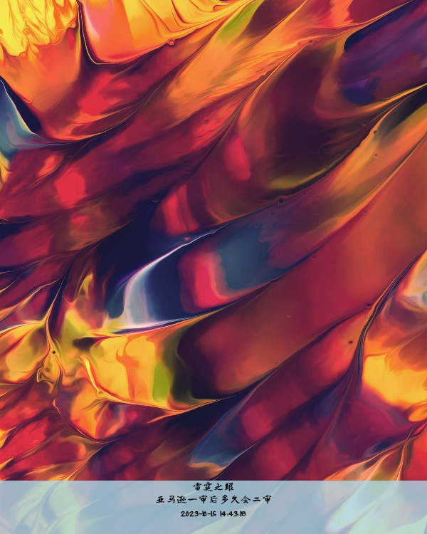 亚马逊一审后多久会二审