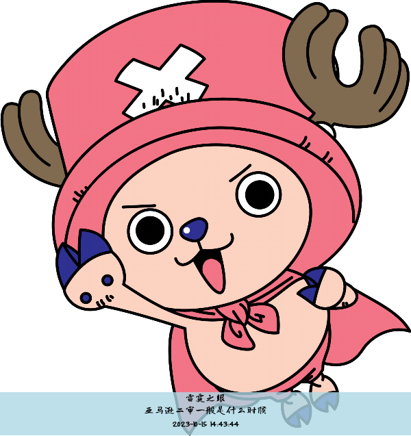 亚马逊二审一般是什么时候