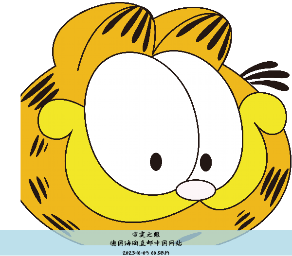 德国海淘直邮中国网站