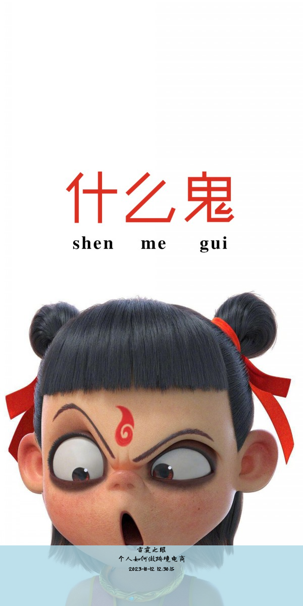 个人如何做跨境电商