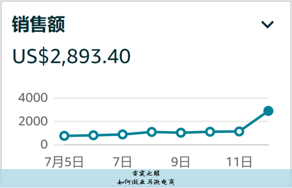 怎么做亚马逊跨境电商平台