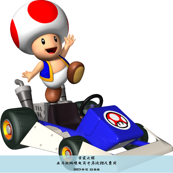亚马逊跨境电商开店流程及费用