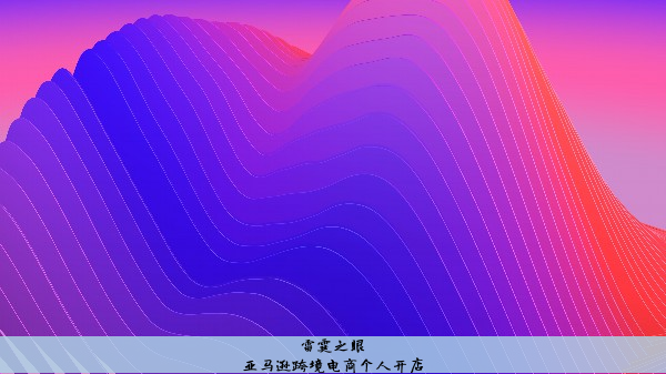 亚马逊跨境电商个人开店