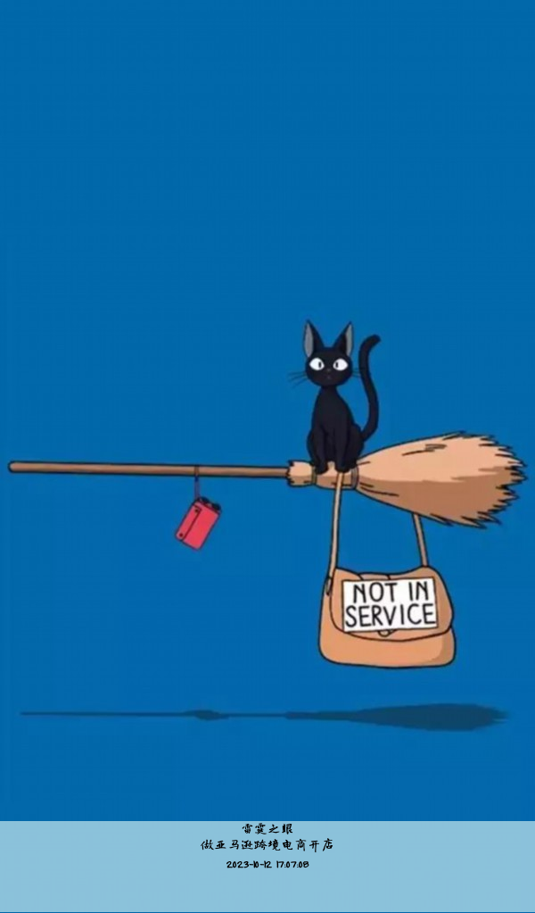 做亚马逊跨境电商开店