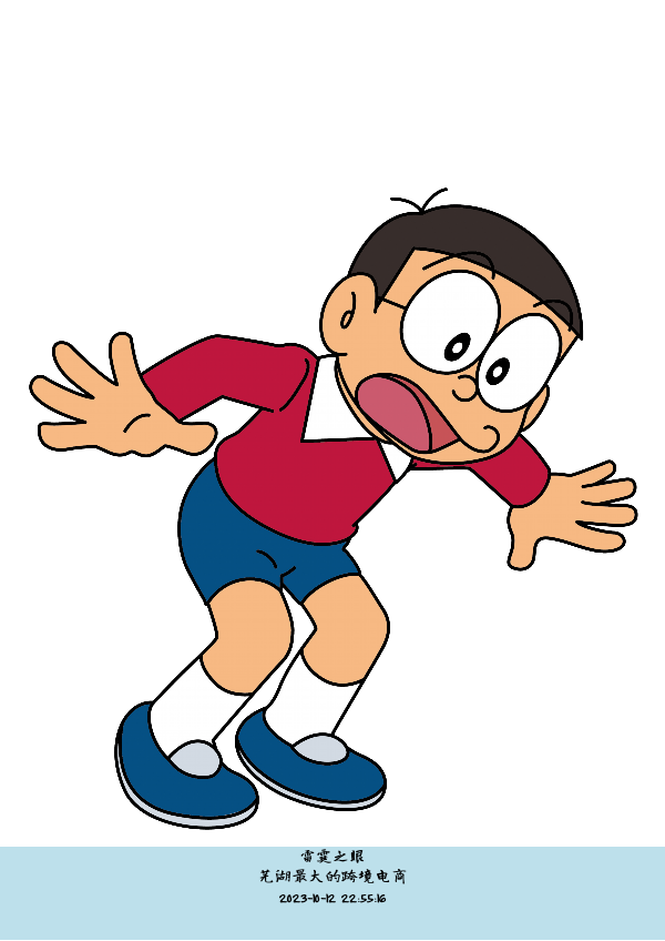 芜湖最大的跨境电商