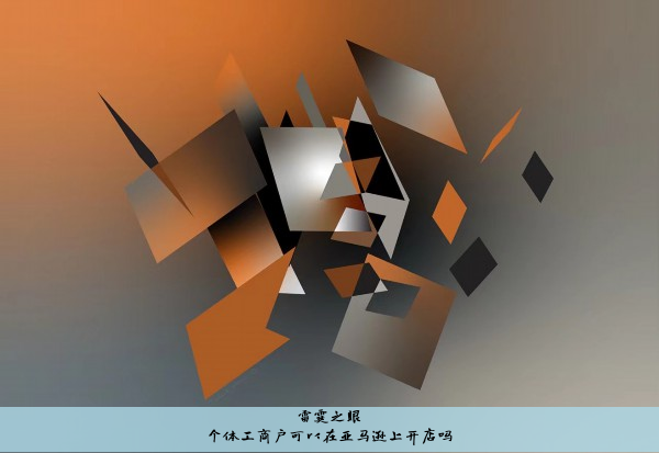 个体工商户可以在亚马逊上开店吗