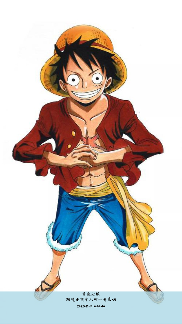 跨境电商个人可以开店吗