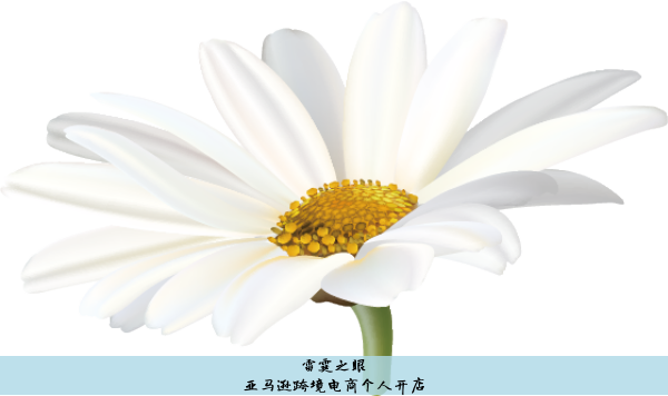 亚马逊跨境电商个人开店