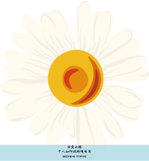 个人如何做跨境电商