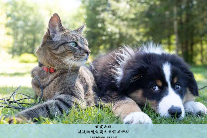 连连跨境电商大卖家有哪些
