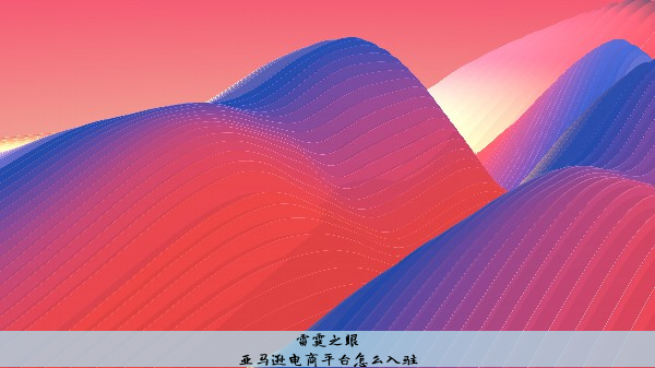 亚马逊电商平台怎么入驻