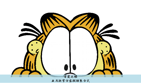 亚马逊官方客服联系方式