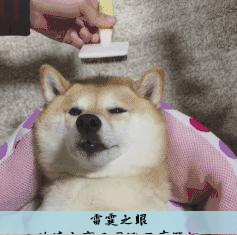 跨境电商亚马逊开店笔记