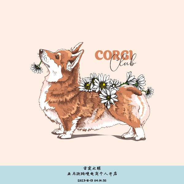 亚马逊跨境电商个人开店